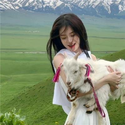 南小姐的明星替身男友