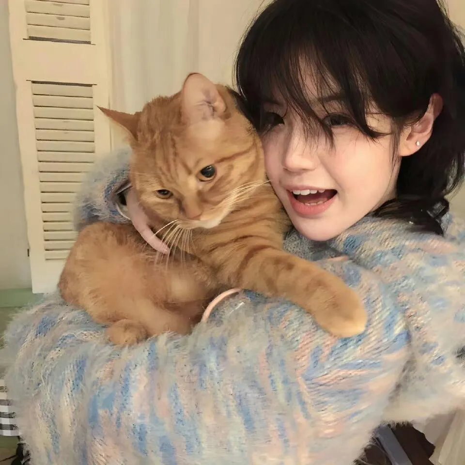 圣何塞谋杀案粤语